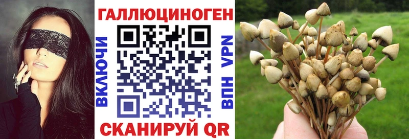 Галлюциногенные грибы мицелий  закладки  Ивантеевка 
